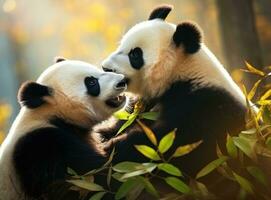 Cute panda on natural background photo
