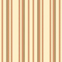 Lines pattern textile of vertical vector fabric with a background texture seamless stripe.
