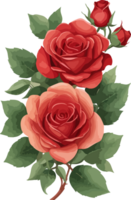 Red Rose Flower Illustration AI Generative png