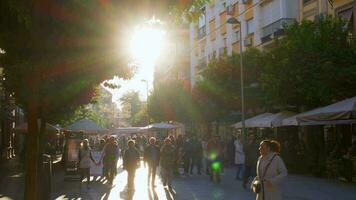 soleado paseo en Sevilla video