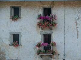 House adorned with flowers photo