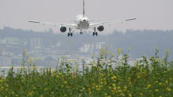 das Flugzeug ist Landung Über Feld von Blumen - - Fokus ziehen video