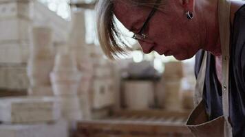 Lavorando nel un' ceramica laboratorio e utensili video