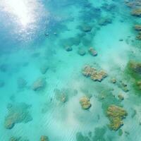 top view of the drone shot coral reef on the island photo
