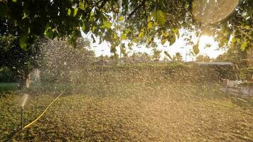 arrosage le herbe dans le ville parc video