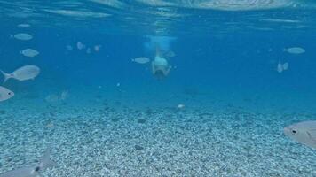 Teenager swims underwater video