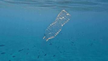 Plastique et autre débris couvertures le mer bas video