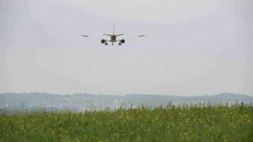 passagerare plan är landning flygande över en blomma fält video