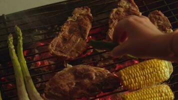 Viande et des légumes sur le barbecue video