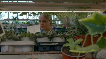 mujer en un flor tienda video