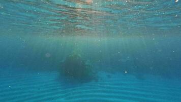 Underwater world sun rays video