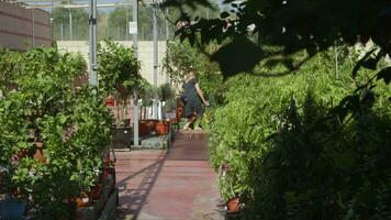 mujer comprando un planta en un flor tienda video