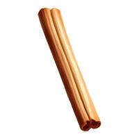 Cinnamon Stick Isolated Detailed Hand Drawn Painting Illustration vector