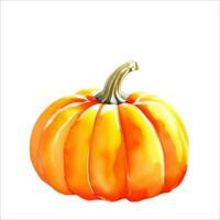 Fresh Pumpkin Isolated Beautiful Watercolor Painting Illustration Vector