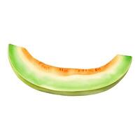 Cantaloupe Melon Slice Isolated Detailed Hand Drawn Painting Illustration vector