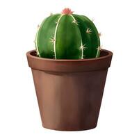 Round Cactus in a Plant Pot Isolated Detailed Hand Drawn Painting Illustration vector