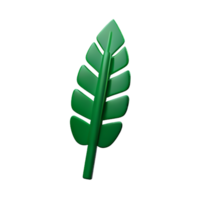 palm leaf 3d rendering icon illustration png