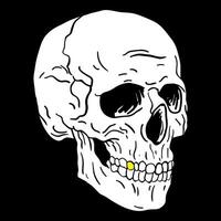 Black and white human skull with a lower jaw. vector