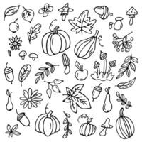 Set of autumn elements. Hand-drawn, sketch. Vector illustration in doodle style.