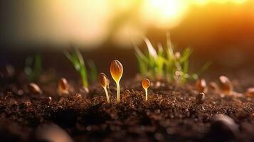 germinando semillas de vegetal en el tierra en varios estaciones, ai generado foto