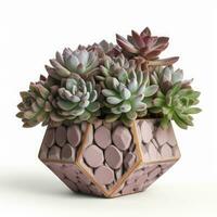 Graptoveria in a terracotta hexagonal pot with a speckled pattern in shades of purple AI Generated photo