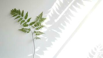 Abstract background with blurred leaf shadows on white wall perfect for product presentation, AI Generated photo