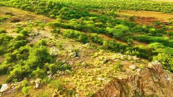 Canyon Like Mountains - Aerial View video