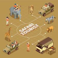 Safari Tourist Flowchart vector