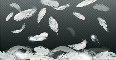 Realistic Falling Feathers Composition vector