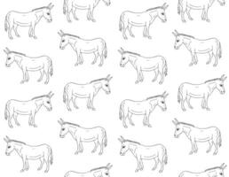 Vector seamless pattern of hand drawn donkey