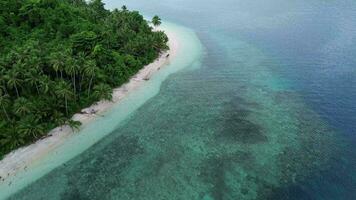 aéreo ver de el línea costera lleno con Coco arboles tropical isla con tropical playas y cristal océano. dionumo isla, gorontalo, Indonesia video