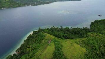 antenne visie van de kustlijn gevulde met kokosnoot bomen. tropisch eiland met tropisch stranden en kristal oceaan. dionumo eiland, gorontalo, Indonesië video