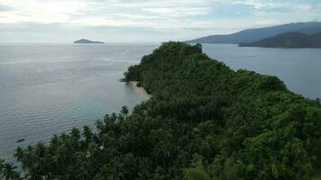 aéreo ver de el línea costera lleno con Coco arboles tropical isla con tropical playas y cristal océano. dionumo isla, gorontalo, Indonesia video