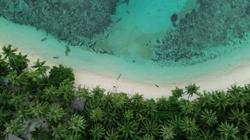 aéreo Visão do arenoso de praia e oceano com ondas. cena do topo Visão de praia e água do mar em arenoso de praia dentro verão video