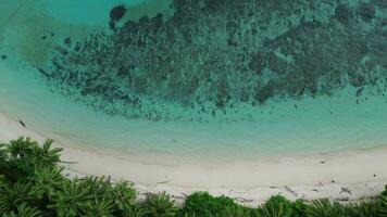 antenn se av sandig strand och hav med vågor. scen av topp se strand och havsvatten på sandig strand i sommar video