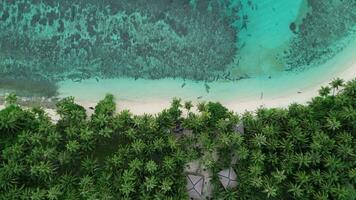 aérien vue de sablonneux plage et océan avec vagues. scène de Haut vue plage et eau de mer sur sablonneux plage dans été video