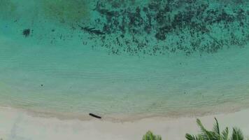 aéreo Visão do arenoso de praia e oceano com ondas. cena do topo Visão de praia e água do mar em arenoso de praia dentro verão video