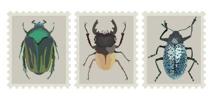 Postal stamp set with bugs. Three poststamps with various beetles. Vector isolated illustration. Philatelic concept
