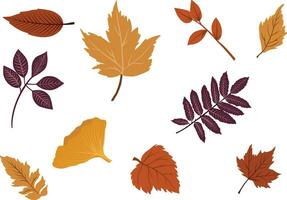 Set of colorful autumn leaves. Falling leaf vector