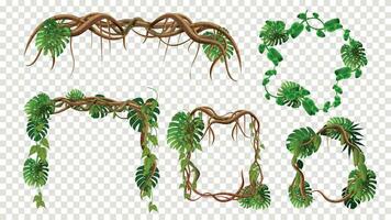 Branches Tropical Frame Set vector