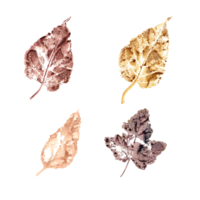avtryck av falla färgrik löv. uppsättning av höst torr löv i brun, gul färger. vattenfärg illustration av silhuetter för grafik, kort design, textur png