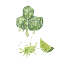 aquarelle fusion citron vert jus la glace cubes, citron vert tranches. botanique illustration de Mojito Ingrédients pour menu, cocktail faire la fête, prospectus, cartes postales png