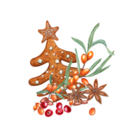 impostato di acquerello Natale Pan di zenzero abeti rossi decorato con bianca glassatura, stella anice, rosso mirtilli e arancia mare olivello spinoso. per Natale e nuovo anno carte png