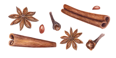 Watercolor set of cinnamons, star anise and cloves. Botanical illustration for Christmas and New Year cards, book design, greetings, stickers, patterns png