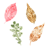 Imprints of autumn leaves in green, yellow, pink colors. Set of fall dry leaves. Watercolor illustration of colorful leaf forms for posters, texture, frame, cards png