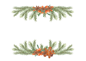 Horizontal frame of watercolor sea buckthorn, star anise. Hand drawn illustration for postcard design, invitation template, Christmas and New Year cards png