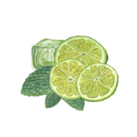 Watercolor set of lime slices, mint leaves, ice cube. Botanical illustration for menu, celebration design, cocktail party, flyer, posters png