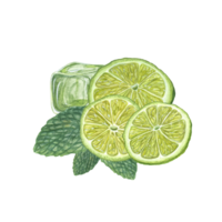 aquarelle ensemble de citron vert tranches, menthe feuilles, la glace cube. botanique illustration pour menu, fête conception, cocktail faire la fête, prospectus, affiches png