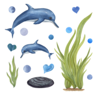 vattenfärg under vattnet sammansättning med delfin, sköldpadda, ankare och linjär korall rev växter. hand målad oceanisk illustration. vatten- kort för design, skriva ut png