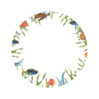 waterverf kader met schildpad, krab, vissen, onkruid. illustratie voor behang, afdrukken, baby textiel, logo, scrapbooken, ansichtkaart ontwerp, verschillend uitnodiging sjabloon. png